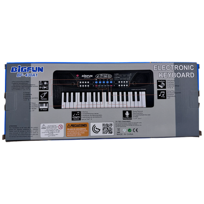 Electronic Keyboard Piano with Microphone