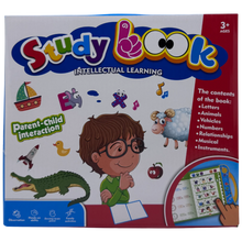 Electronic E-Book Study Book for Intellectual Learning